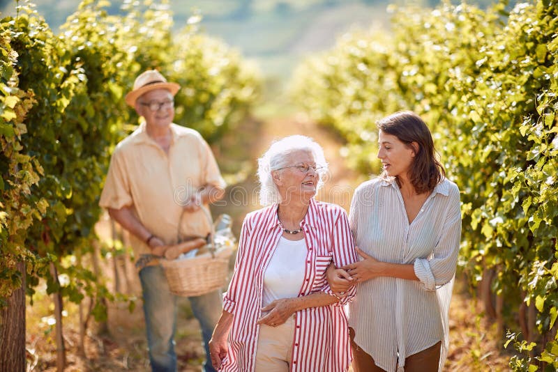 Grape Vineyard fields. Grape harvesting. Happy mother and daughter on vineyard royalty free stock photography Grape Vineyard fields. Grape harvesting. Happy mother and daughter on vineyard royalty free stock photography