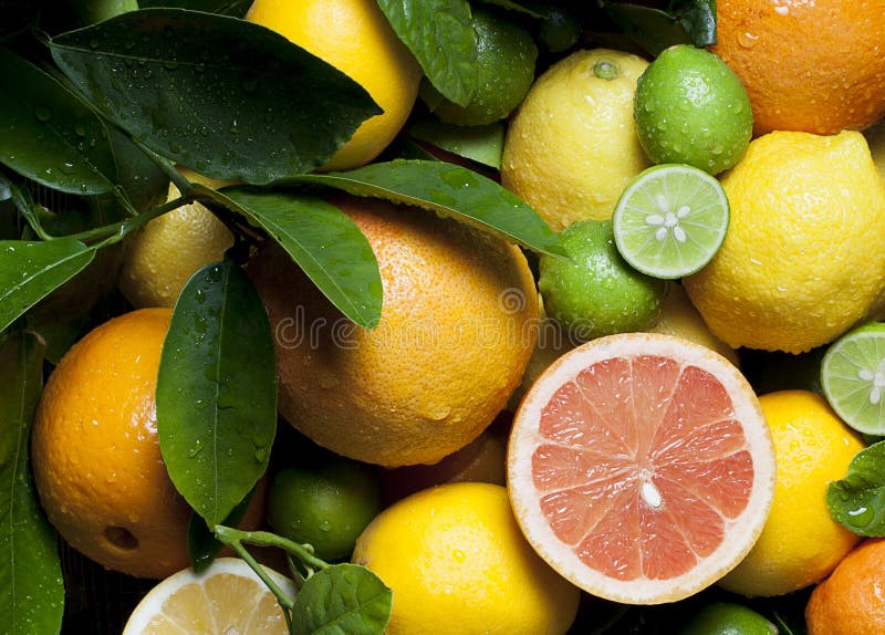 Grapefruit Oranges Lemons Limes