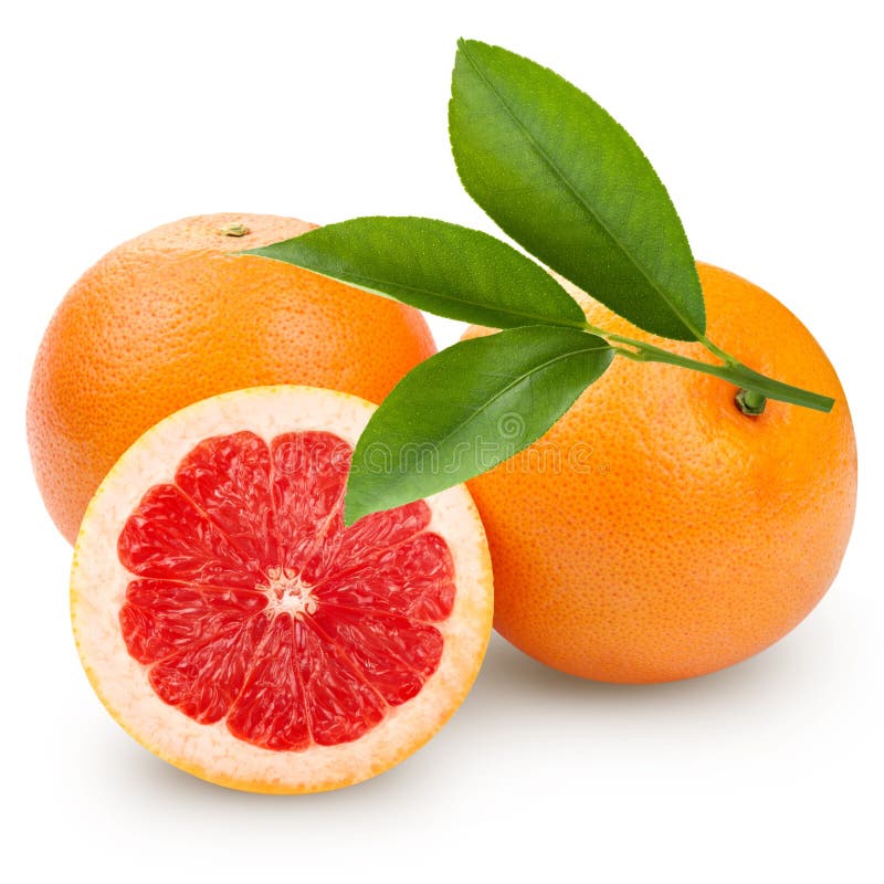 Grapefruit stock image. Image of fresh, food, circle 22502019