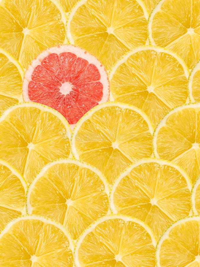 Grapefruitowy plasterek Stoi Out Od tłumu obraz royalty free Grapefruitowy plasterek Stoi Out Od tłumu obraz royalty free