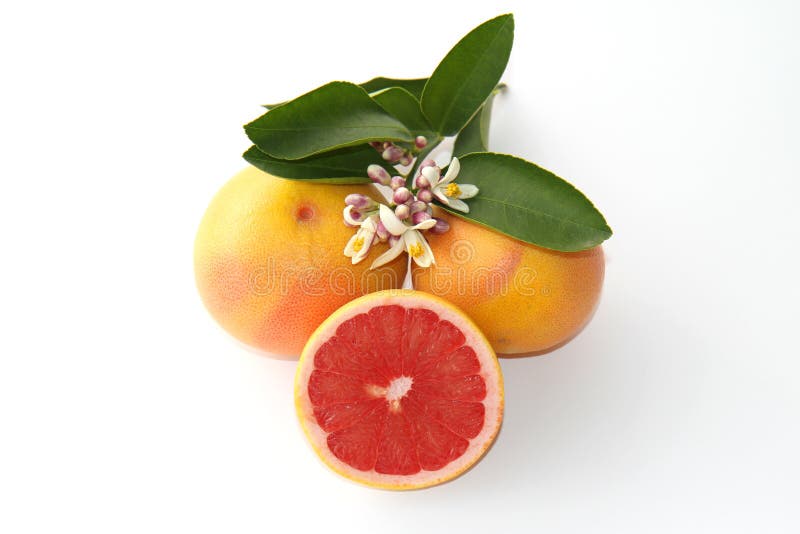 Ripe Pink Grapefruit Blossoms Stock Photos Free & RoyaltyFree Stock
