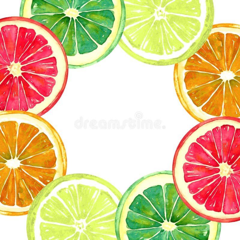 Grapefrukt, apelsin, limefrukt och citron, runt hälsningkort eller banerdesign vektor illustrationer Grapefrukt, apelsin, limefrukt och citron, runt hälsningkort eller banerdesign vektor illustrationer