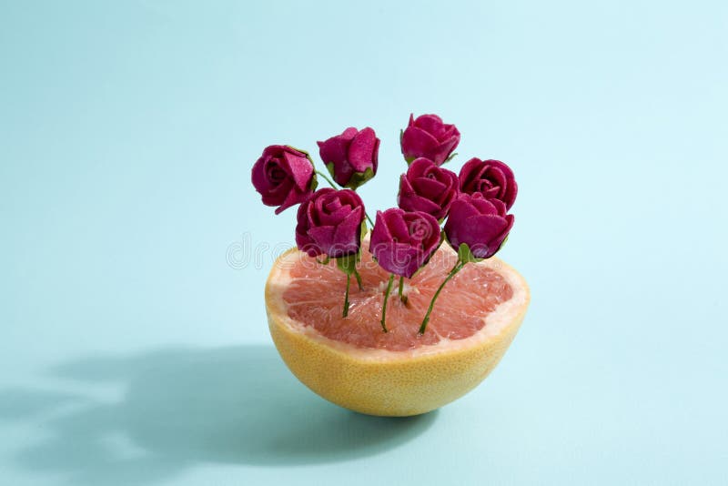 Grapefrukt och röda rosor arkivbild Grapefrukt och röda rosor arkivbild