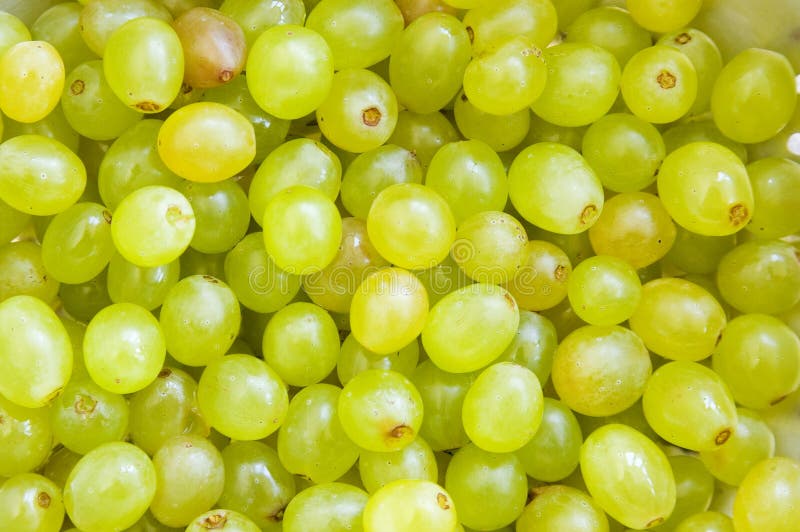 Grapes