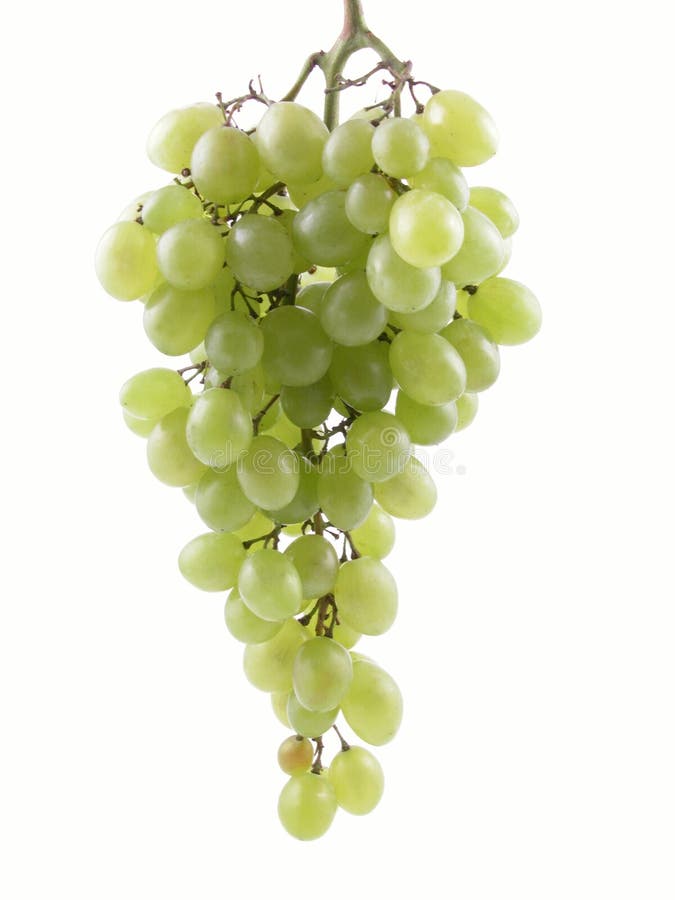 Penacho de blanco uvas en blanco.