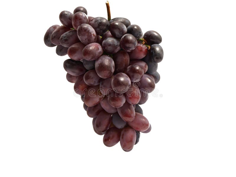 Grapes