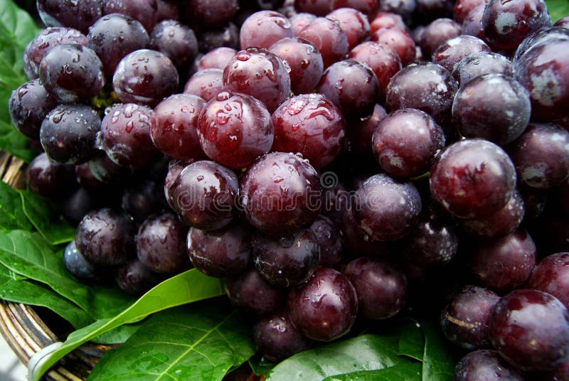 Grapes