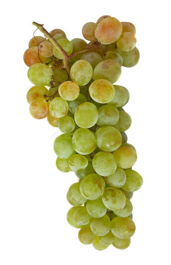 Grapes 2