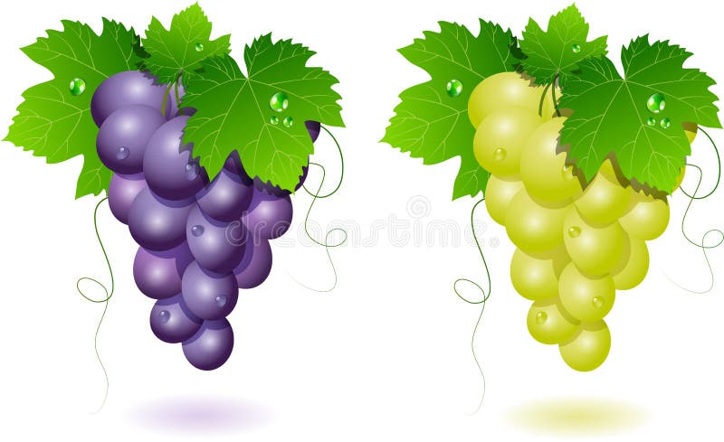 Grapes