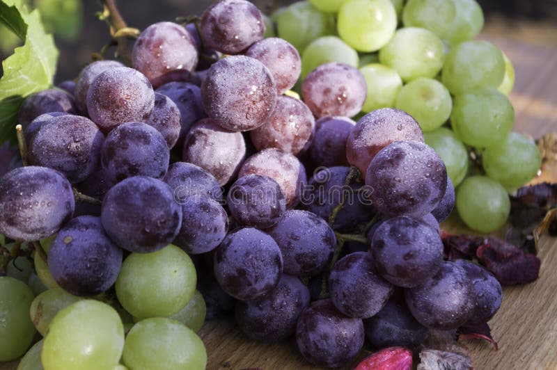 Grapes