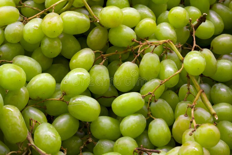 396 Green Grapes Box Isolated Stock Photos Free & RoyaltyFree Stock