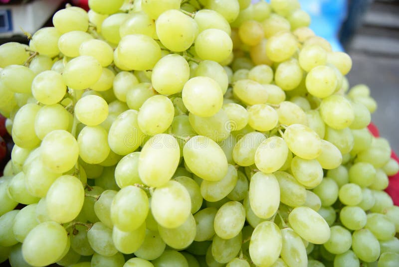 Grapes