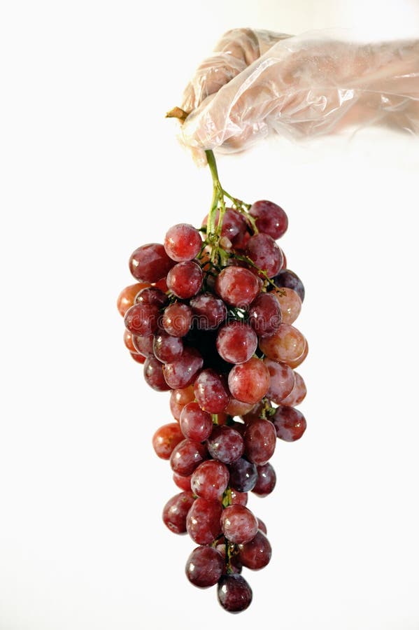 Grapes 3