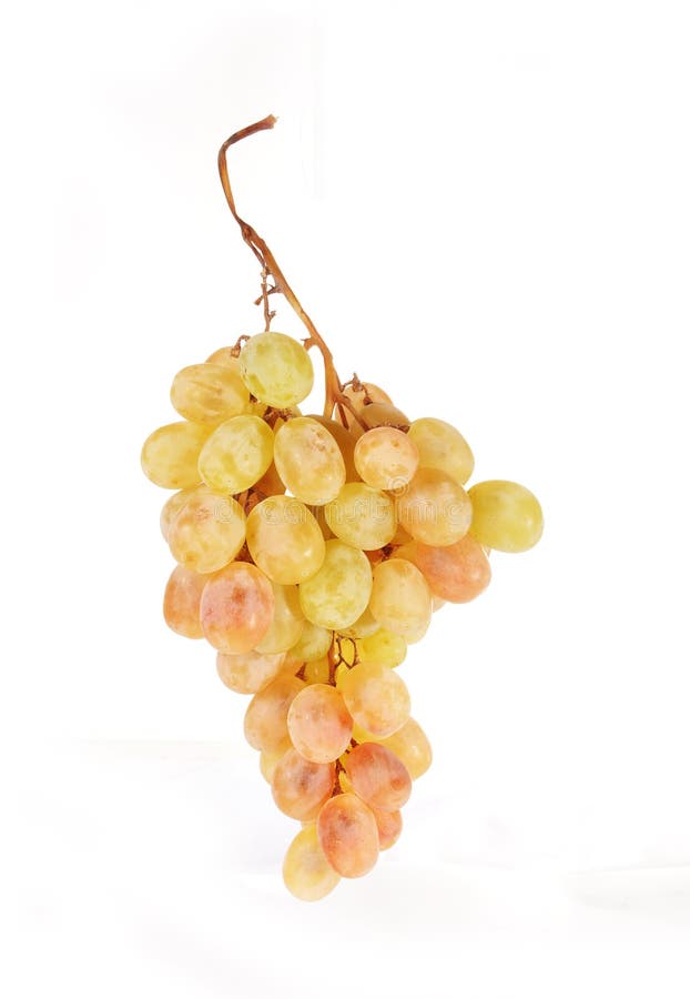 Grapes branch