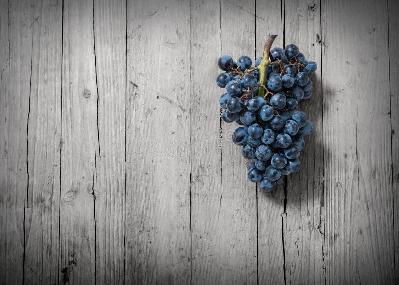 Smashing grapes stock image. Image of fresh, heavy, fermentation 7978951