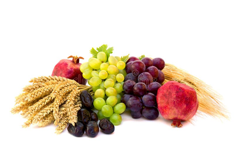 Grapes, Dates, Barley and Wheat on a White Background with