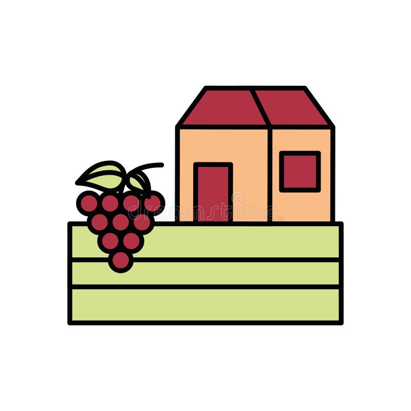 Grapes Fresh Fruits with House Building Stock Vector Illustration of