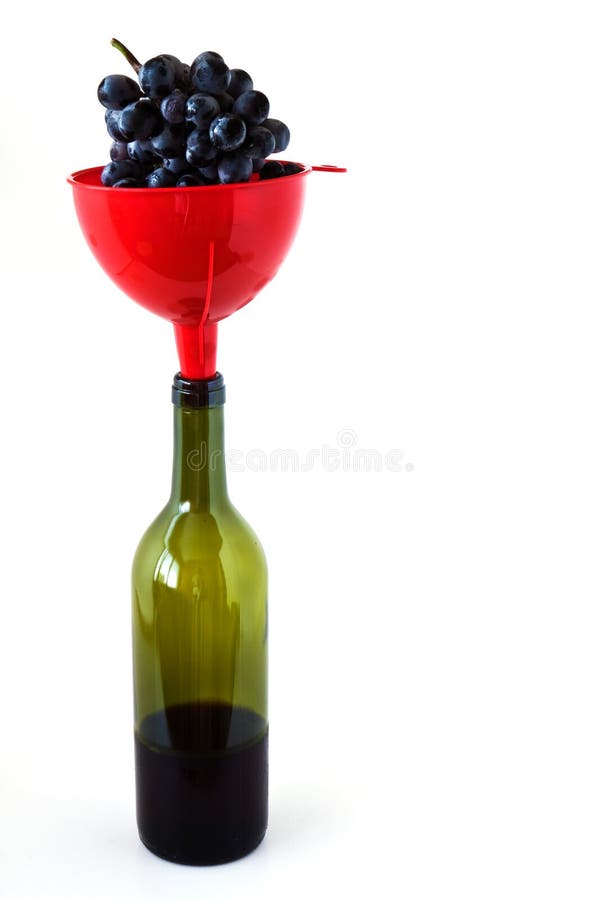 Grapes in a Funnel on Wine Bottles Stock Photo Image of juice, funnel 21266360