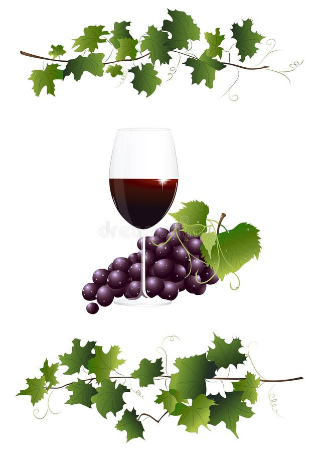 Grapes with Leaves. Wine Glass with Wine Stock Vector - Illustration of ...