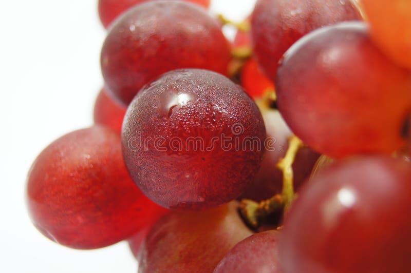 Grapes isolated