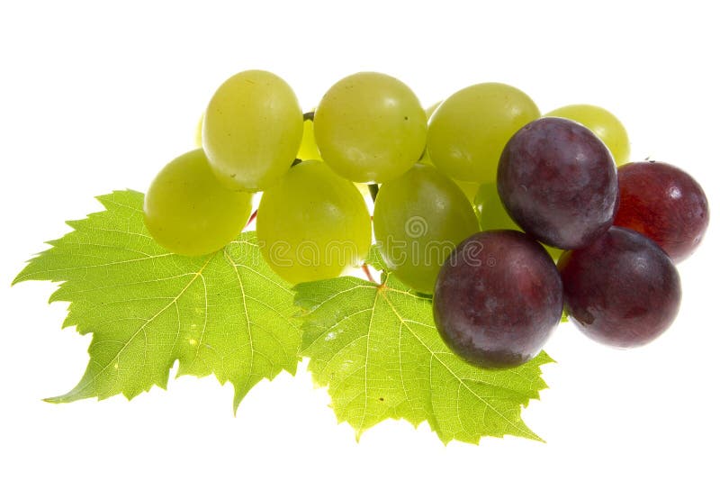 Grapes isolated