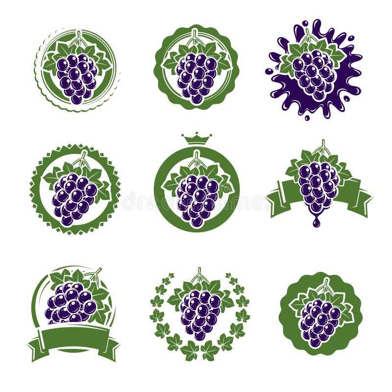 Grapes labels and elements set. Vector vector illustration Grapes labels and elements set. Vector vector illustration