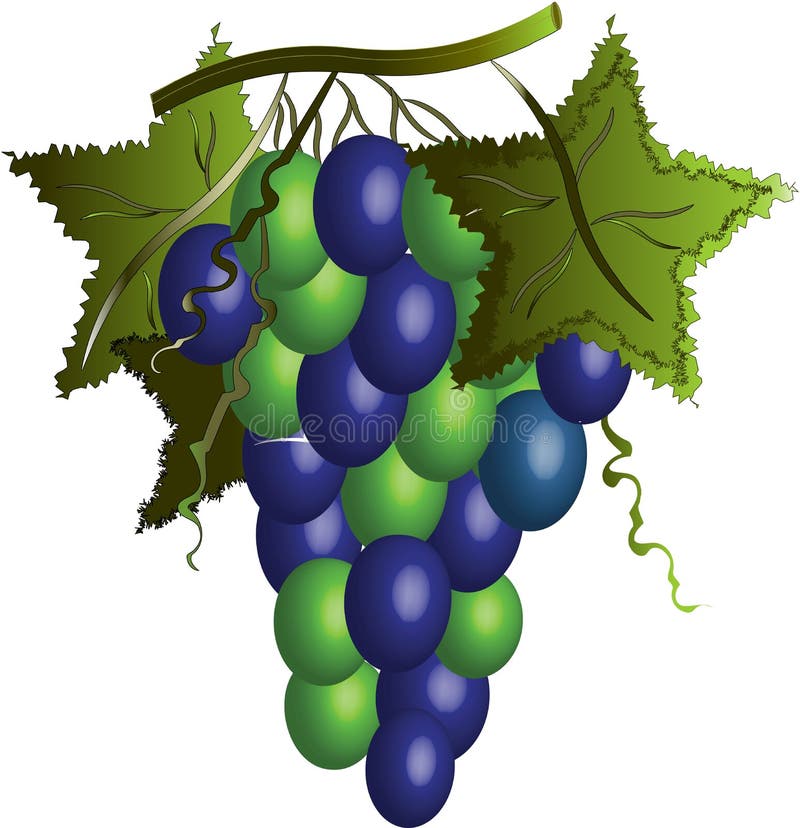 Grapes with leafs