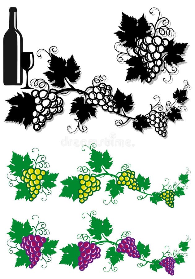 Grapes and vine leaves stock illustration Grapes and vine leaves stock illustration
