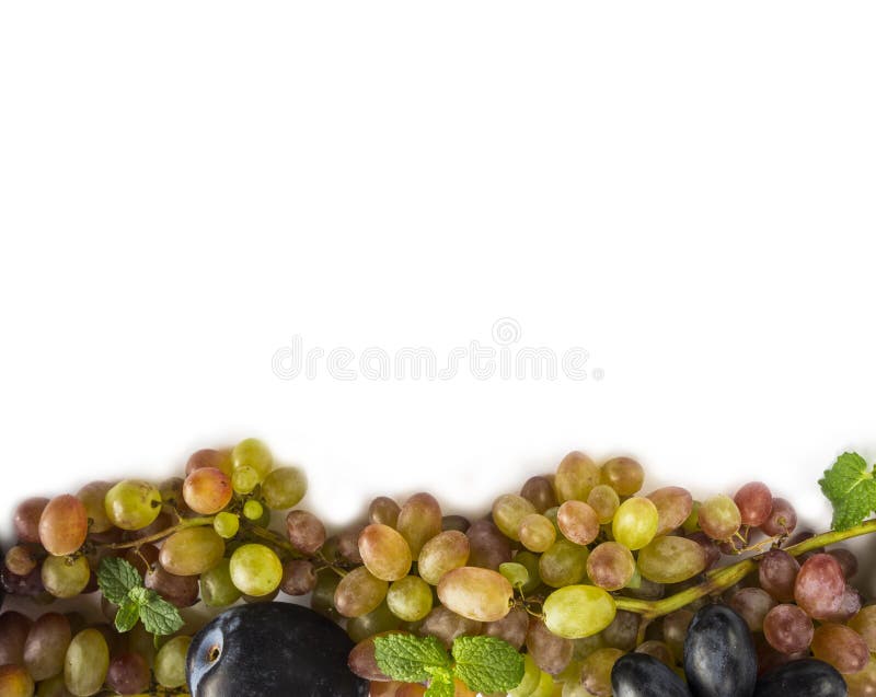 Grapes on white background. Ripe grape, plums and mint leaves at border of image with copy space for text. Top view.