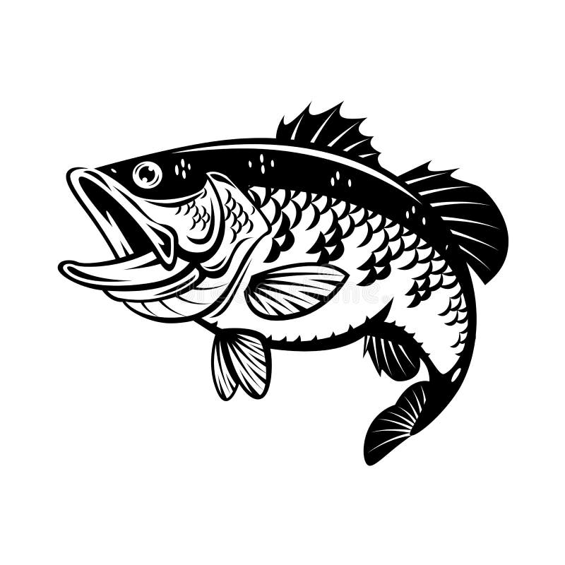 Pink Striped Bass Sticker - Speedpainting Style with Open Mouth Stock  Illustration - Illustration of striped, light: 304028173