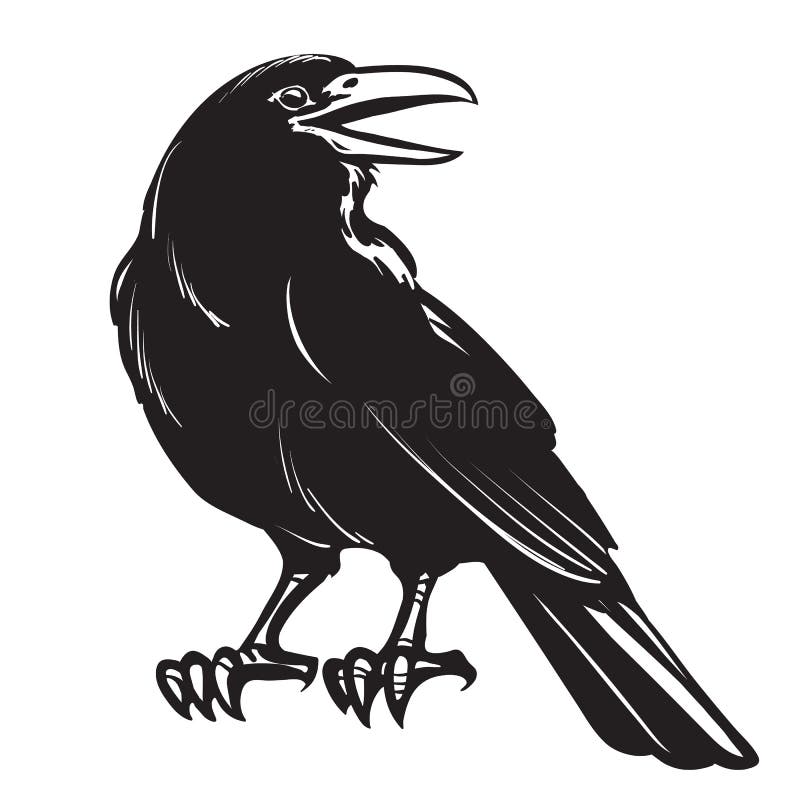 Graphic black crow isolated on white background