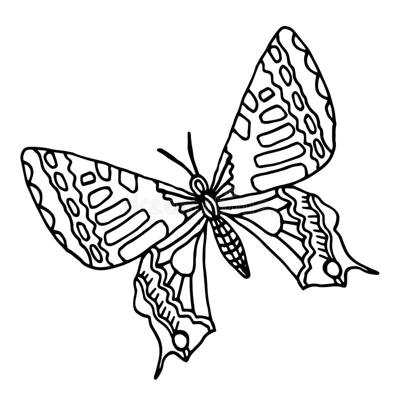 Graphic Black and White Butterfly. Hand Drawn Contour Lines and Strokes ...