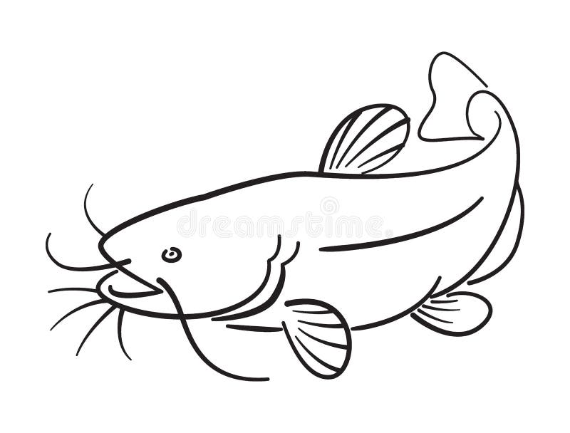 Catfish Vector Line Drawing Stock Illustrations – 212 Catfish Vector ...