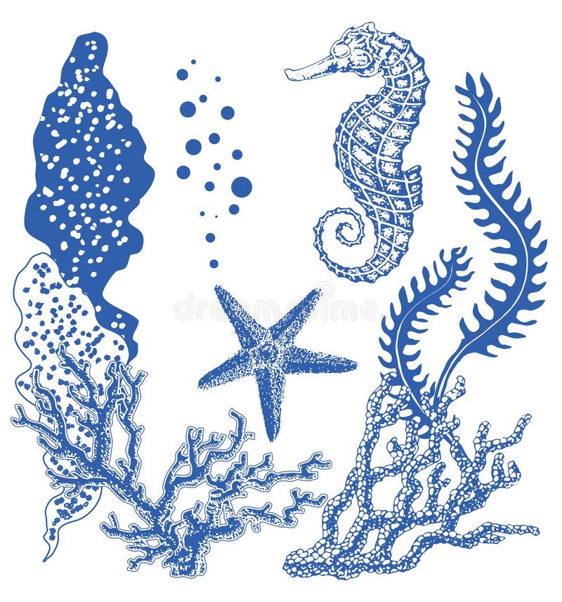 Graphic coral reef with sea horse, sea star, starfish, seaweed, corals, under sea theme, set of elements for marine