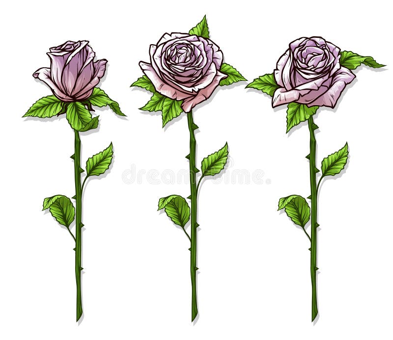 Cute Cartoon Tree Topiary Of Rose Flowers Illustration - Free Template