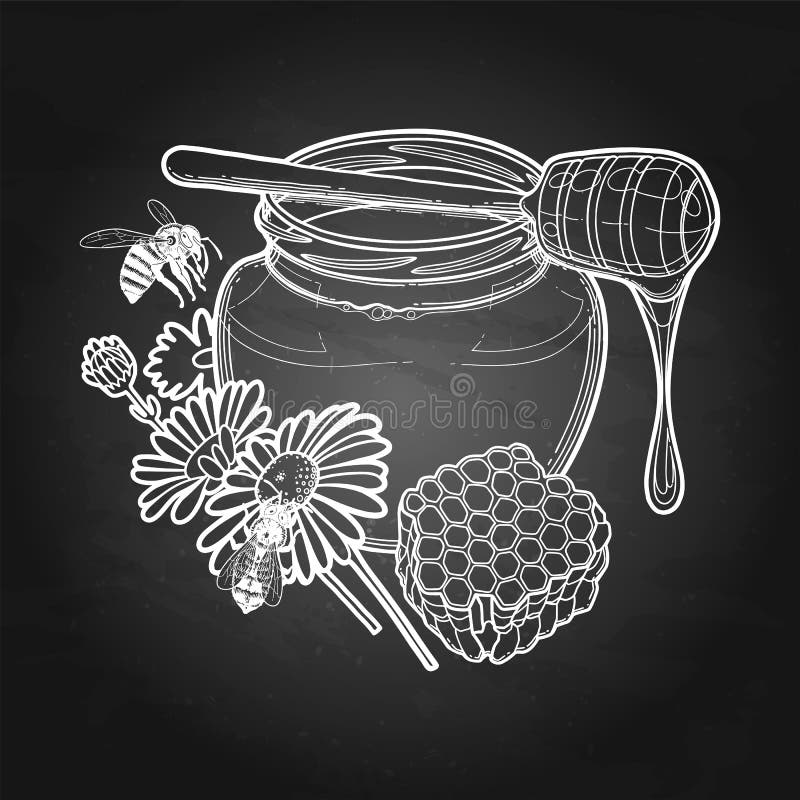 Graphic Honey Bottle Decorated with Chamomile Flowers Stock Vector