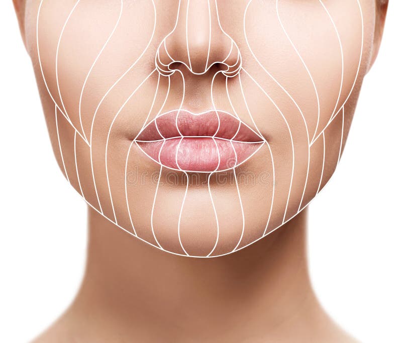 Graphic lines showing facial lifting effect on skin. royalty free stock photo Graphic lines showing facial lifting effect on skin. royalty free stock photo