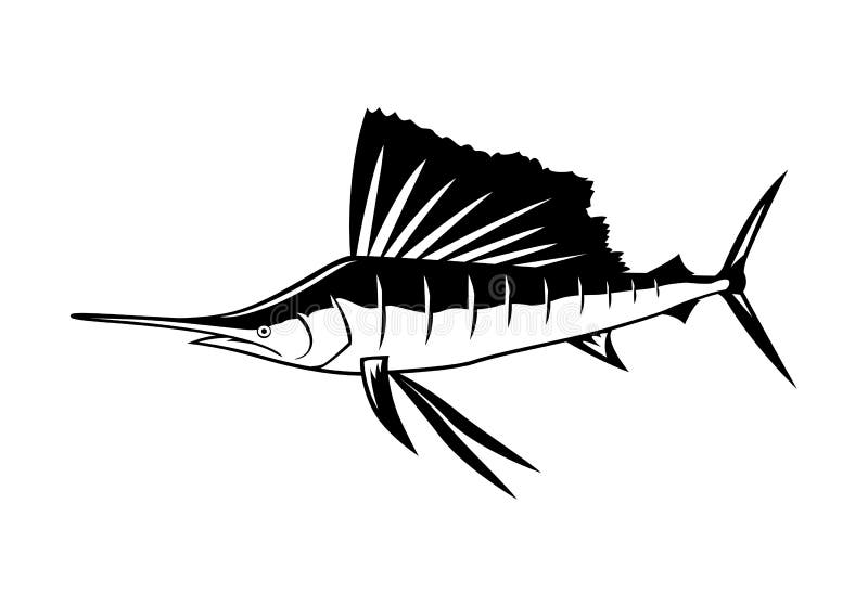 White Marlin Clip Art Stock Illustrations – 64 White Marlin Clip Art