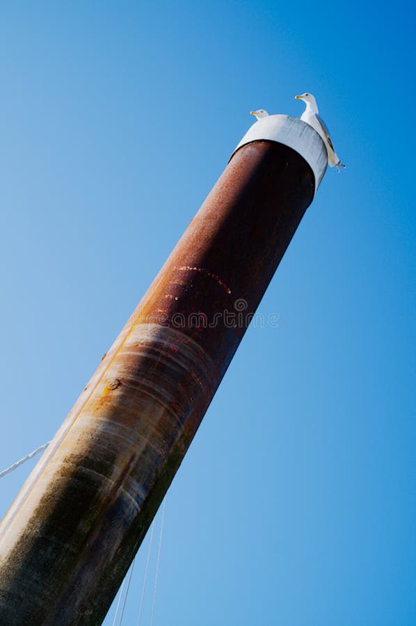 Graphic minimalistic image of seagulls sitting on top of a metal column in front of a clean blue sky stock photo