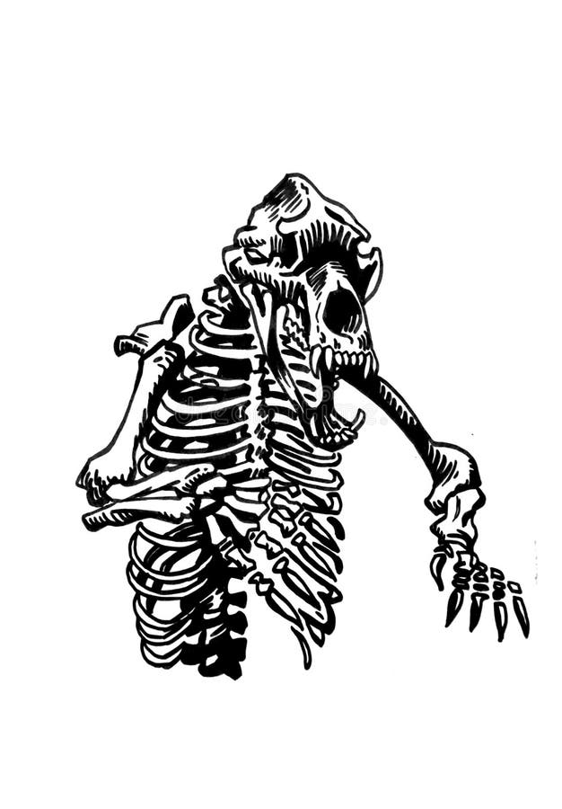 Graphical Skeleton Bear Stock Illustrations – 13 Graphical Skeleton ...