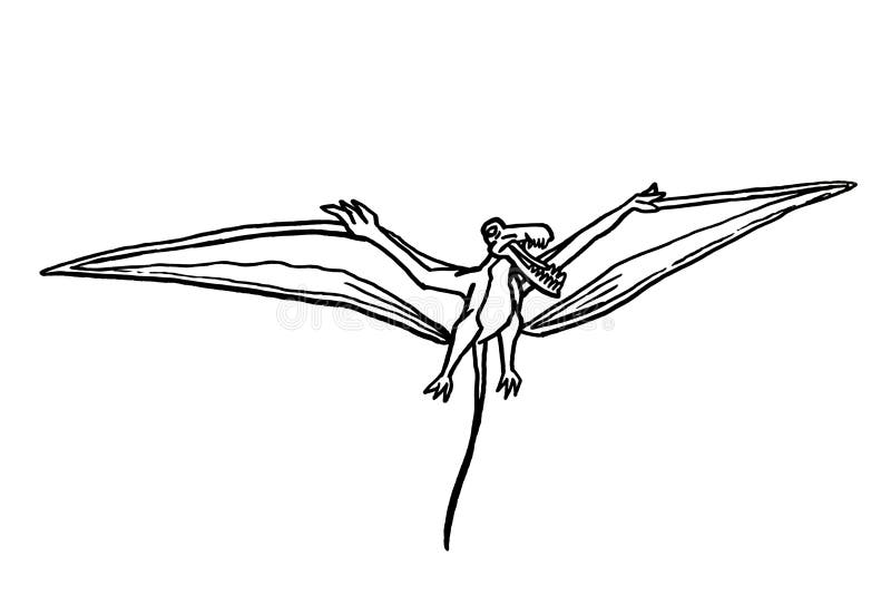 100,000 Pterodactyloidea Vector Images