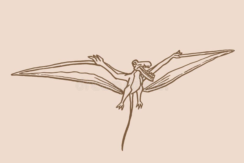 Pterodactyl Vector Silhouette and Contour. Pteranodon Dinosaur Stock Vector  - Illustration of animal, dinosaur: 151499991