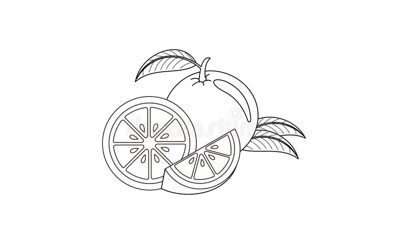 Download Coloring Book Fruit To Educate Kids Learn Colors Pages Stock Illustration Illustration Of Foliage Design 169549797