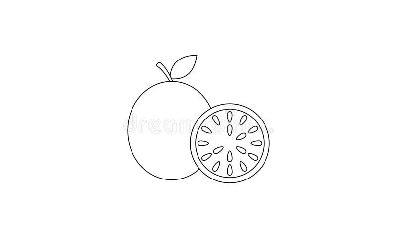 Download Coloring Book Fruit To Educate Kids Learn Colors Pages Stock Illustration Illustration Of Design Book 169550585