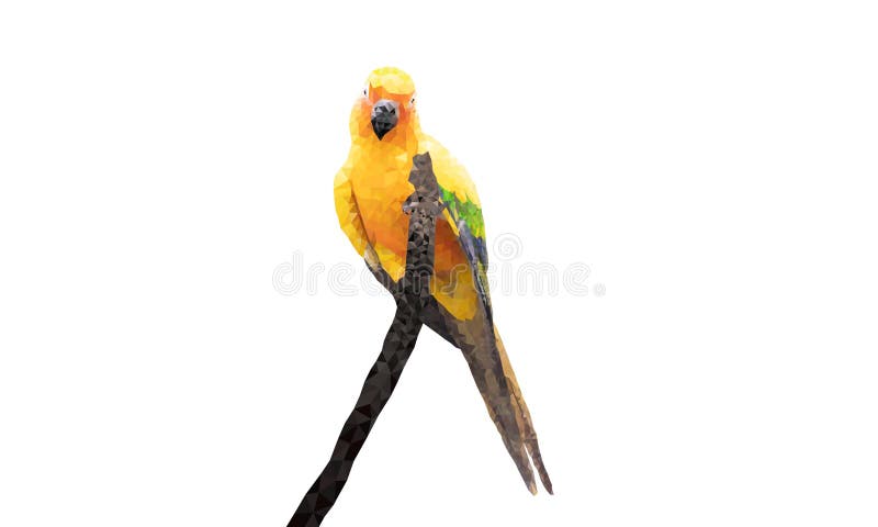 Graphics Polygon Image Parrot sitting on a branch isolated white background vector illustration vector illustration