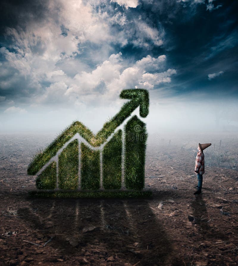 Graphique fait en herbe sur un champ photographie stock libre de droits Graphique fait en herbe sur un champ photographie stock libre de droits