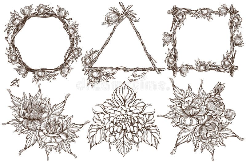 Graphiques botaniques. Pivoines. Un ensemble d'oeuvres d'art avec des fleurs en fleurs et les beaux cadres faits de branches.