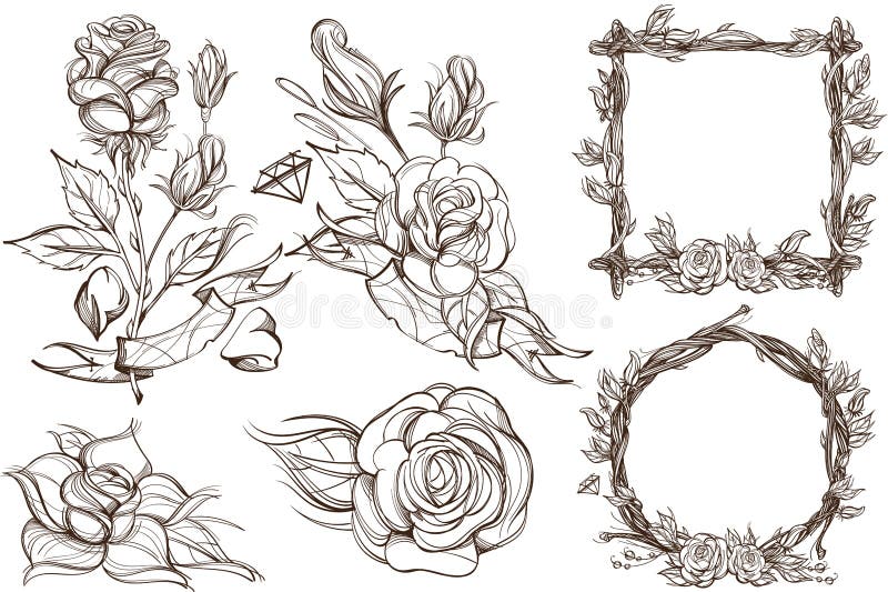 Graphiques botaniques. Roses. Un ensemble d'oeuvres d'art avec des fleurs en fleurs et les beaux cadres faits de branches illustration libre de droits