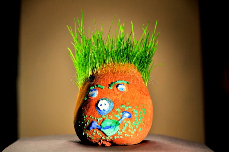 A crafty stocking filled with soil and grass seed growing grass for hair and painted face in photo shoot. A crafty stocking filled with soil and grass seed growing grass for hair and painted face in photo shoot.