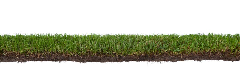 Gras mit Wurzeln und Schmutz stockfoto Gras mit Wurzeln und Schmutz stockfoto